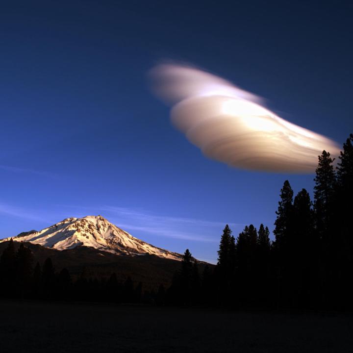 Claudia Soraya Wedekind