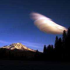 Claudia Soraya Wedekind