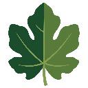 Fig Skool logo