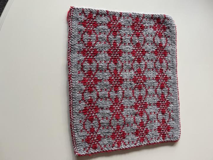 Vinterpledd lapp nr 1