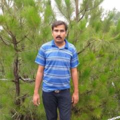 Muhammad Imran