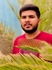 Ghulam Abbas