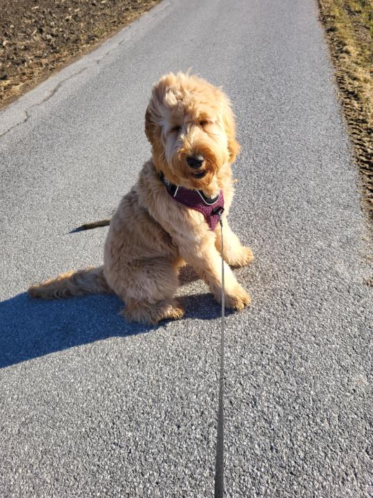 Claudia Oberbeirsteiner
