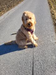 Claudia Oberbeirsteiner