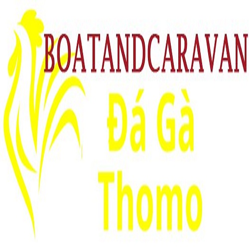 Đá Gà Trực Tiếp Thomo