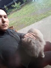 Álvaro Eliseo Petersen Carrasco