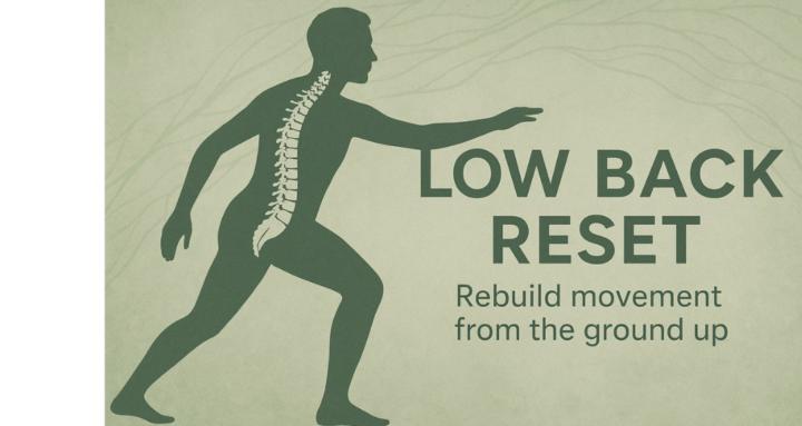 The Low Back Program