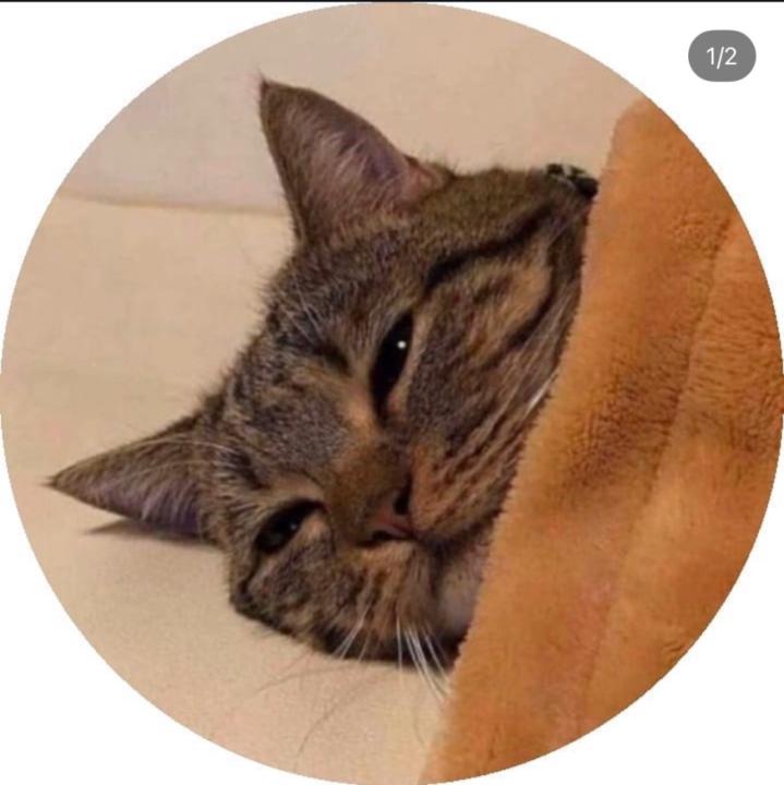 دانه العنزي