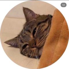 دانه العنزي