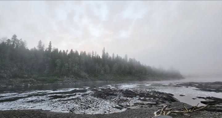 NorthEast Biz-venturers