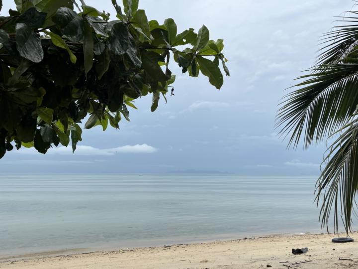 Loneliness Isn’t Alone