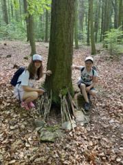 Eliška Šebestíková