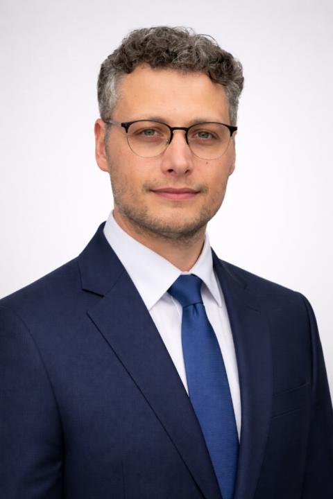 Matteo Voltolini