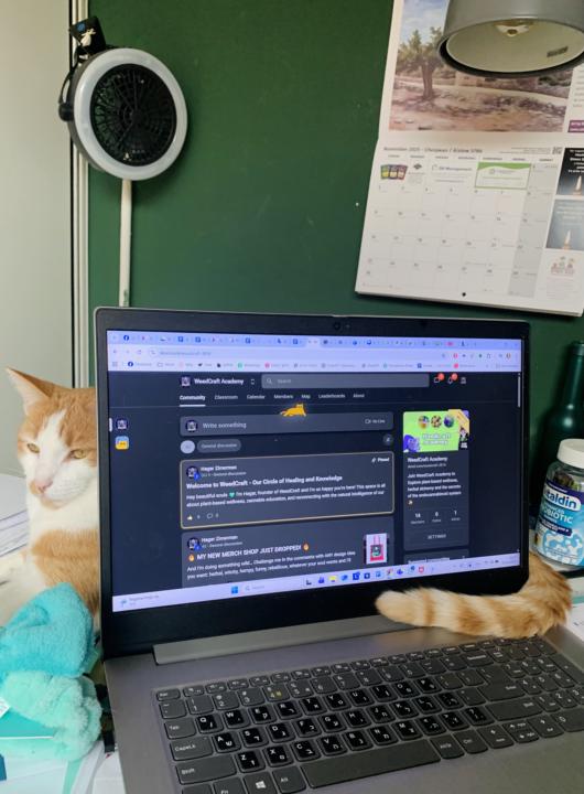 Working on a natural soap workshop to go online!