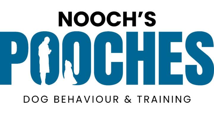 NP Dog Training Academy