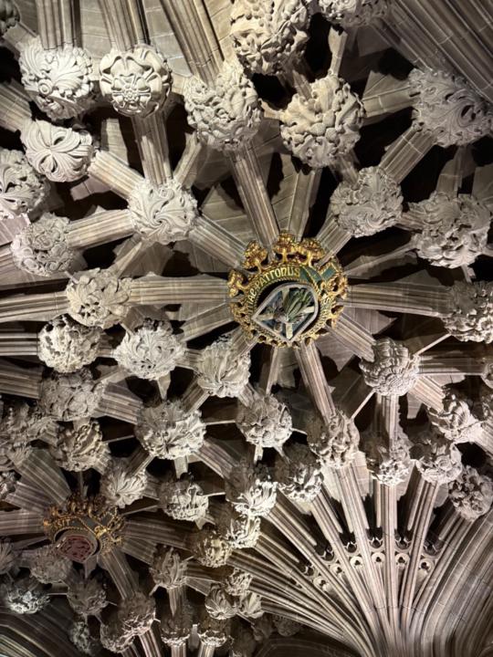 Jennifer onosereme Ikpea