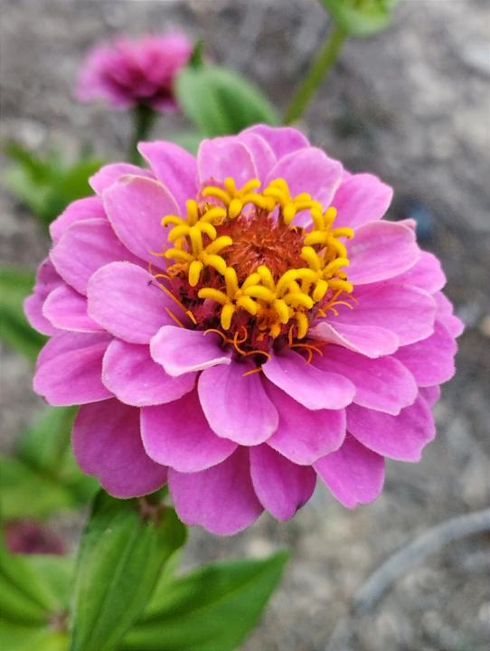 Gloria Garcimartinez