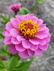 Gloria Garcimartinez