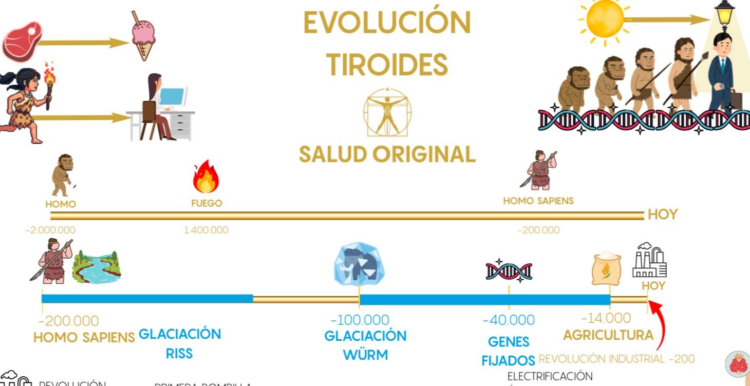 Por qué enfermamos (y cómo sanar)