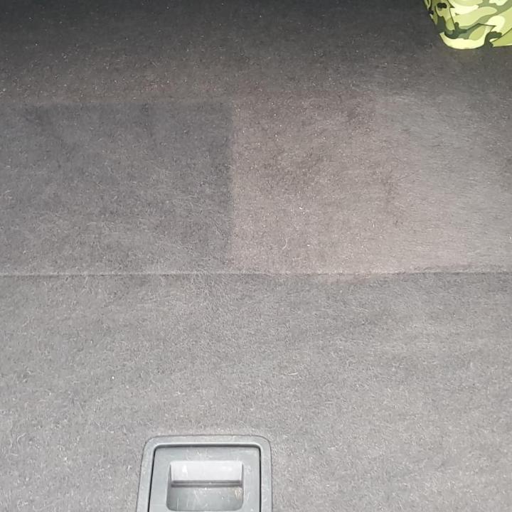 Why Vacuuming Matters (More Than You Think)