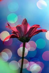 A. Sommerfeld