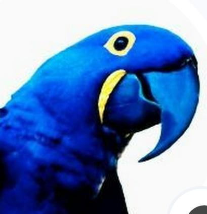 Dana Blue