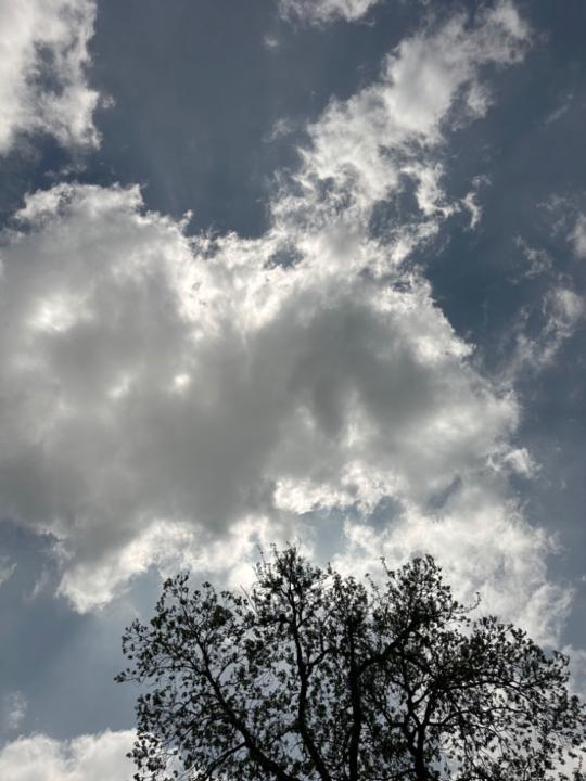 Stephen Micheal Hopper