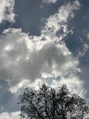 Stephen Micheal Hopper