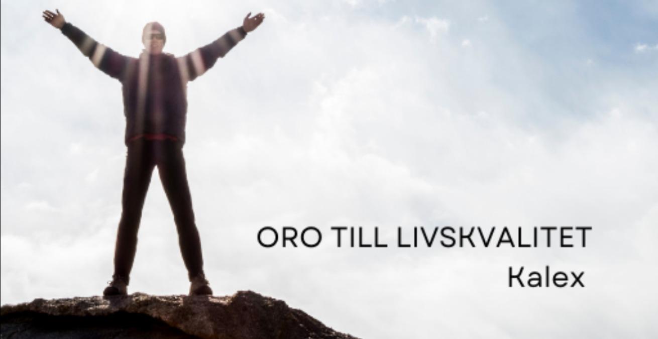 Från oro till styrka – E-bok till tryggare beslut