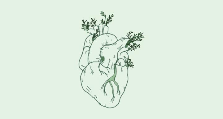 The Evergreen Project