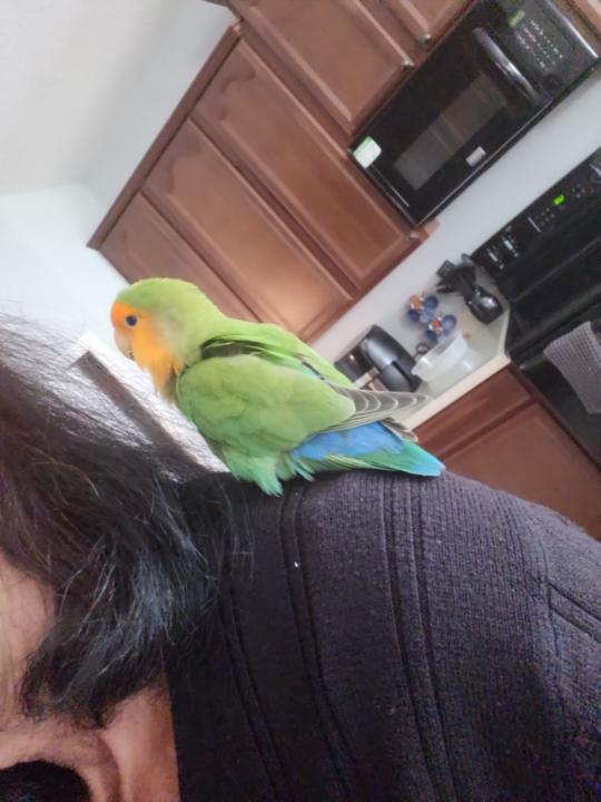 Maria del Carmen Hernandez