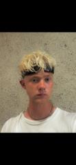 Harry Lees