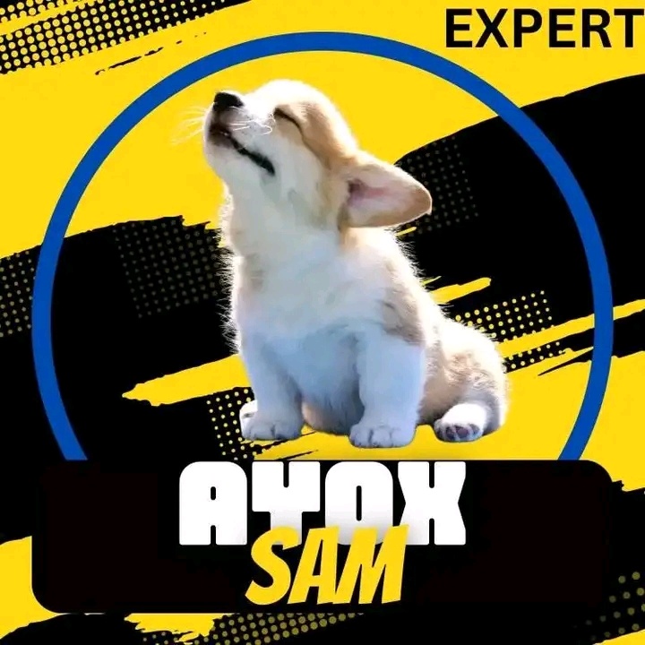 Ayox Sam