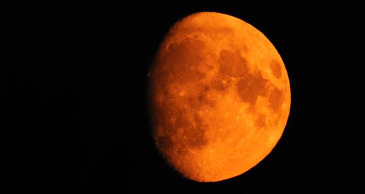 Nyla's Arts and Crafts