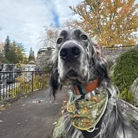 Rose-Anais Desruisseaux