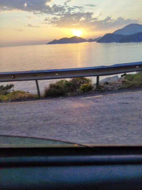Gamze Turan