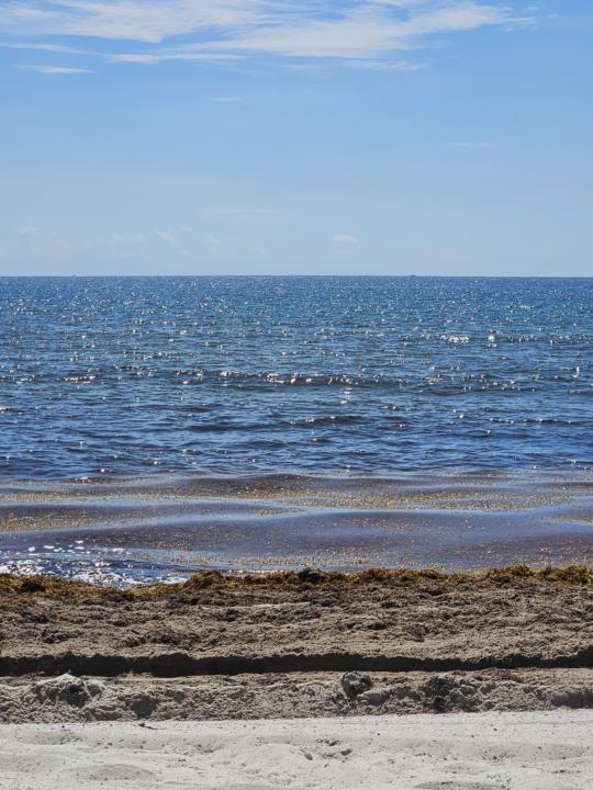 Beautiful day in Dania beach.
