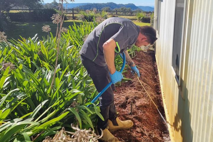 Termite Removal Saucier, MS | Call (888) 584-8783