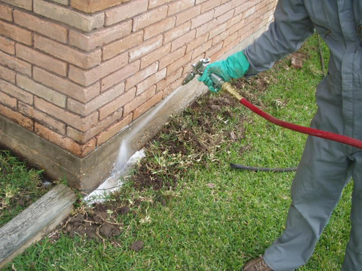 Termite Treatment La Vernia, TX | Call (888) 584-8783