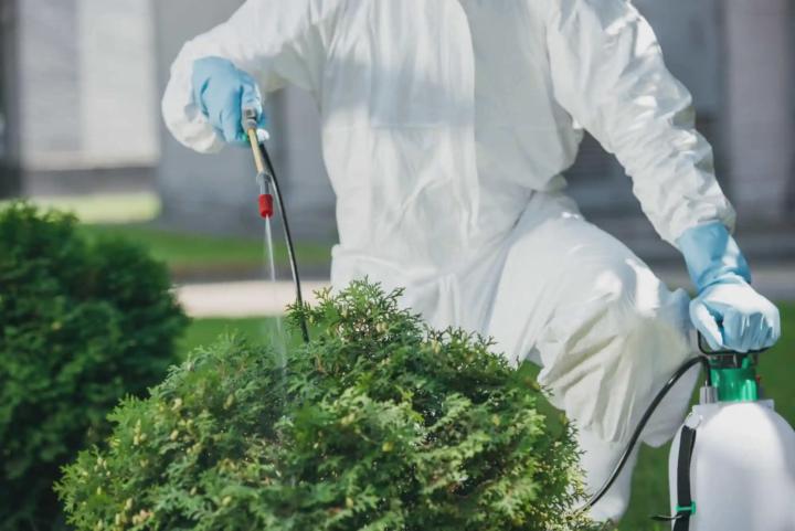 Termite Control Goshen, KY | Call (888) 584-8783