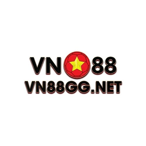 VNgg Net