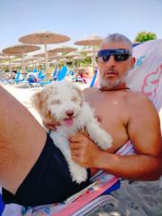 Stefanos Sevastiadis