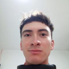 Diego Roa