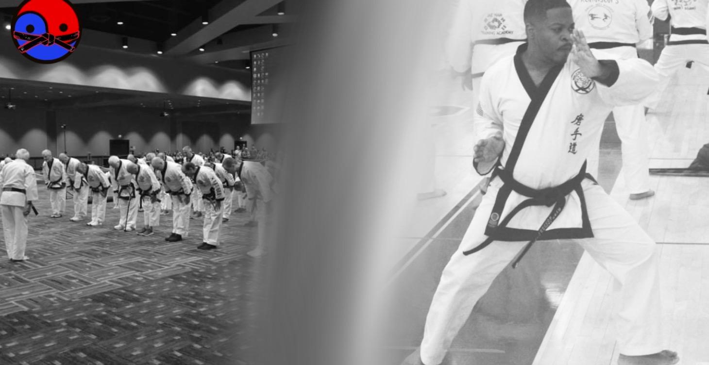 Introduction to Tang Soo Trainer