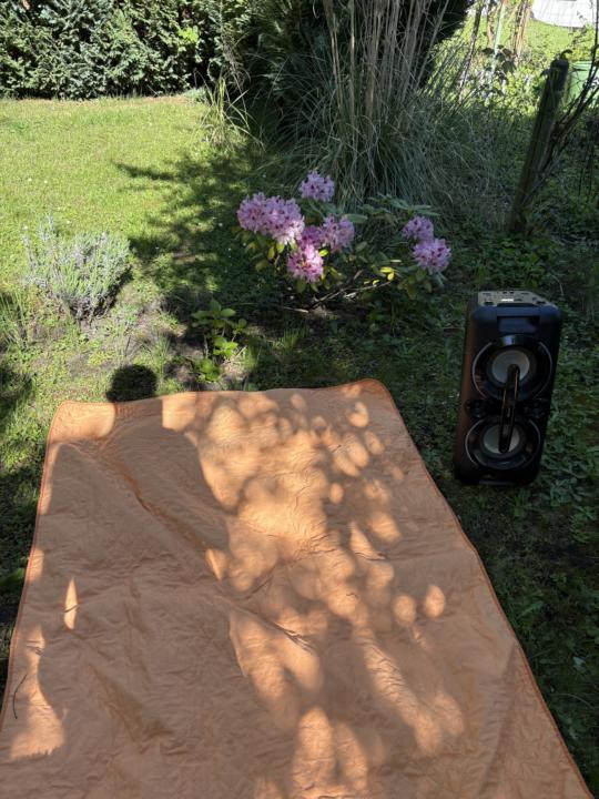 Ćpaj toz dojo