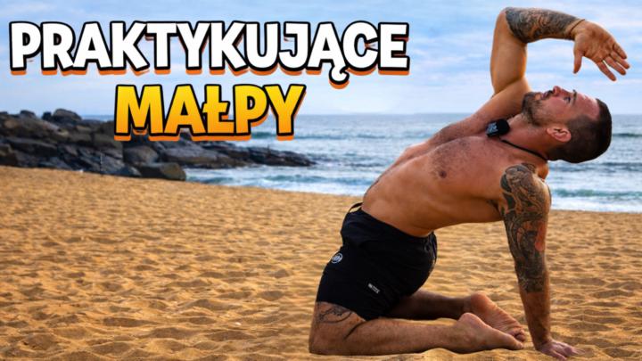 Raczkujące ? No już nie…