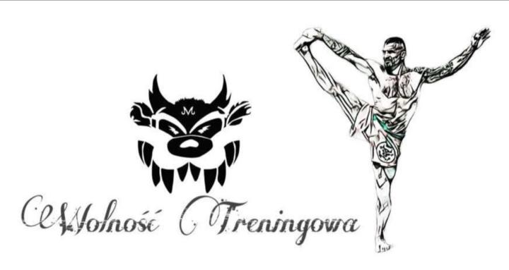 TAZ DOJO - Borys Mankowski