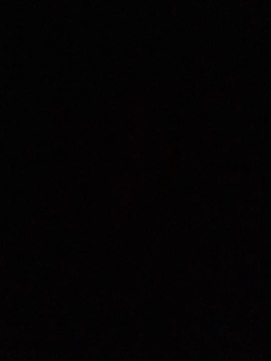 Guillermo San Martin