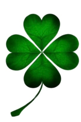 Lucky H
