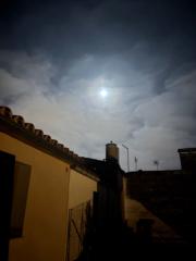 Gerard Gimeno